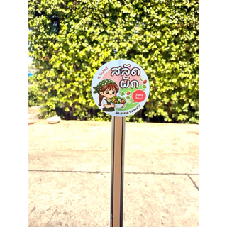 สติกเกอร์สลัด ผักออแกร์นิค ผักไฮโดรโปนิกส์ สลัดผัก สลัดผลไม้ Salad ฉลากสำเร็จรูป สติกเกอร์กันน้ำ [no.S86]
