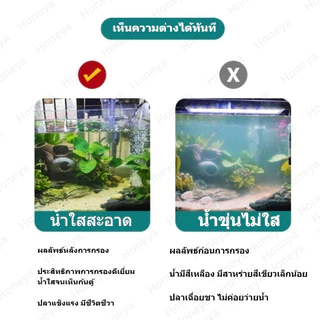 🐟 ตัวกรองตู้ปลา🐟 – ลดราคาจำกัดเวลา! ⏰ กล่องกรองน้ำทำให้น้ำสะอาด ปกป้องสุขภาพปลา มีหลายขนา ดให้เลือกTZR