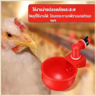 【ขายส่ง】ถ้วยให้น้ำไก่อัตโนมัติ 10/20ชิ้น สีแดง ติดตั้งง่าย DIY ได้ เหมาะกับไก่ เป็ด นกกระทา และสัตว์ปีกทั่วไป