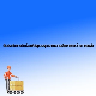 บรรจุภัณฑ์ที่ได้รับการปรับปรุงช่วยป้องกันความเสียหายและรับประกันการจัดส่งที่สมบูรณ์ 100%