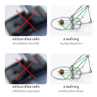 กับดักหนูสำหรับใช้ในบ้าน กับดักหนูแบบสปริง กับดักพังพอน ใช้ดักหนูบ้าน หนูนา ขนาดประมาณ 15 เซนติเมตร ใช้ซ้ำได้