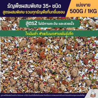 Petlover ธัญพืชผสมพิเศษกว่า 35+ ชนิด สำหรับนกวัยหัดแทะ และนกแก้วทุกสายพันธุ์ (แบ่งขาย 500G / 1KG)