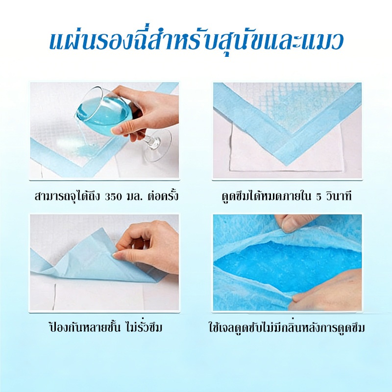 PETWELL แผ่นรองฉี่สุนัข แผ่นคาร์บอน ซึมซับไดีดี ต่อต้านแบคทีเรีย ช่วยฝึกขับถ่าย ระงับกลิ่น ราคา ถูกที่สุด ดีลบีเคเค แกลเลอรีภาพที่ 5