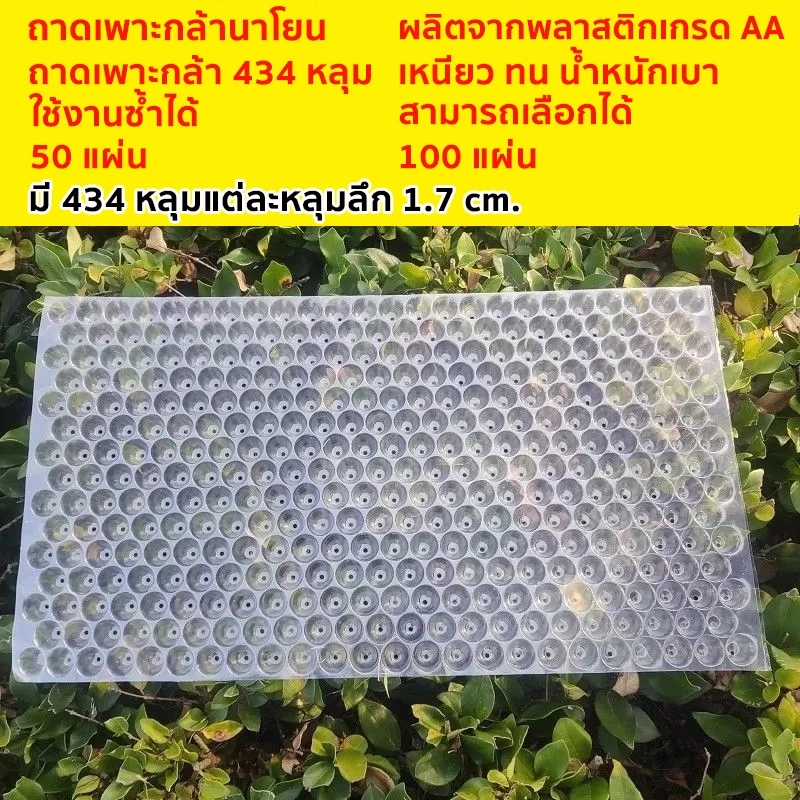ถาดเพาะกล้านาโยน 434 หลุม มีให้เลือกจำนวน 50-100 ชิ้น ถาดเพาะนาโยน ถาดปลูกกล้านาโยน ปลูกข้าว ถาดเพาะต้นกล้า