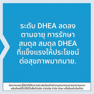 Life Extension DHEA 25 มก ช่วยสมดุลฮอร์โมน ความจำ กล้ามเนื้อ กระดูก สุขภาพชายหญิง 100 เม็ดละลายในปาก ปราศจากกลูเตน มังสว
