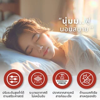 【จัดส่งฟรี】หมอนหนุน หมอนโรงแรม 5 ดาว ป้องกันไรฝุ่นและแบคทีเรีย 1000G แก้ปวดคอนอนหนุนเพื่อสุขภาพ นุ่ม หลับสบาย