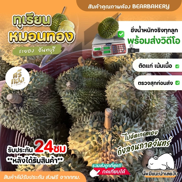 📌ทุเรียนหมอนทอง จันทบุรี ตัดแก่จากสวน เนื้อแน่นทุกพู พร้อมวิดีโอชั่งน้ำหนักจริงทุกลูก! ศรีทอง bearbakery