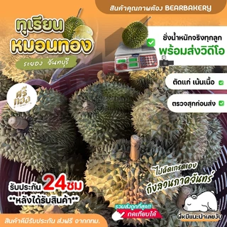 📌ทุเรียนหมอนทอง จันทบุรี ตัดแก่จากสวน เนื้อแน่นทุกพู พร้อมวิดีโอชั่งน้ำหนักจริงทุกลูก! ศรีทอง bearbakery