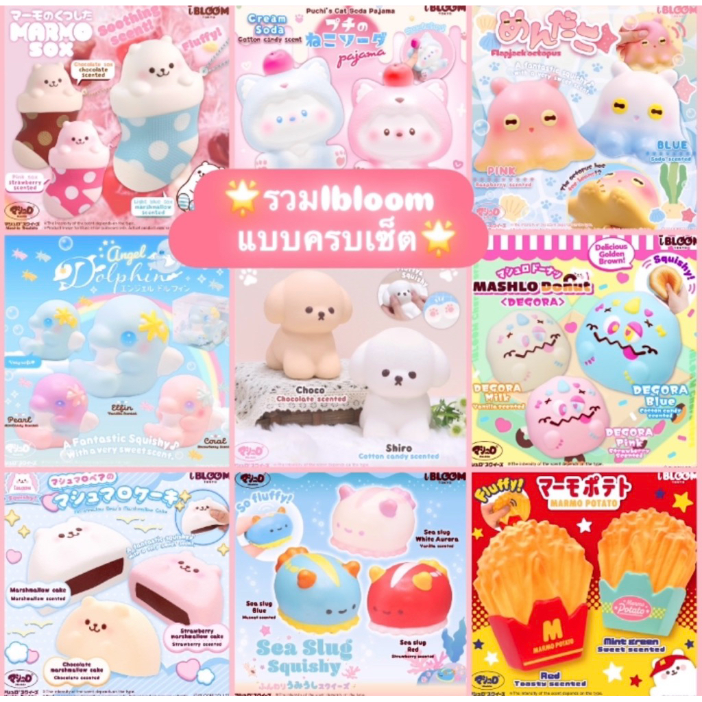 🌟รวมIbloom แบบครบเซ็ต🌟
