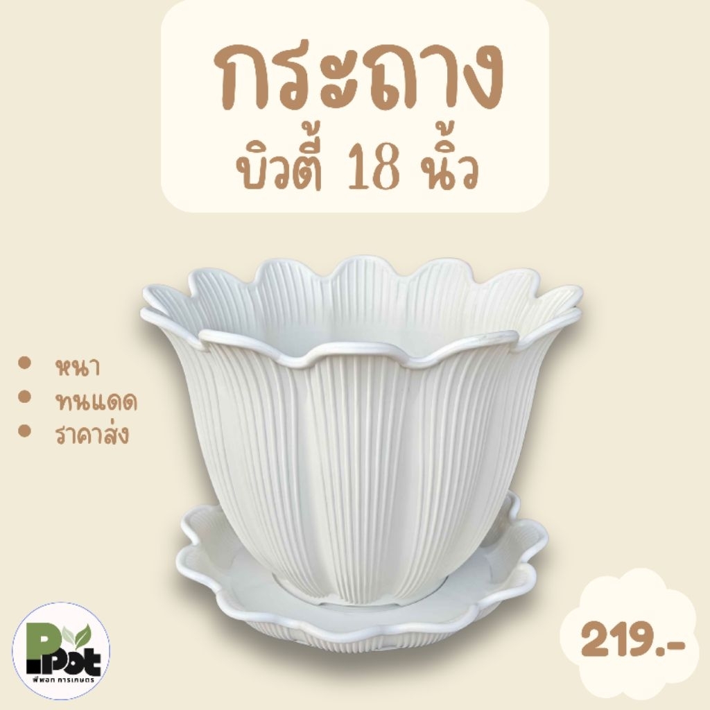 กระถางต้นไม้ รุ่นบิวตี้ 18 นิ้ว + จานรอง มีหลายสีให้เลือก สีขาว เทา โอ๊ค ดีไซน์ทรงดอกไม้ สำหรับปลูกต้นไม้