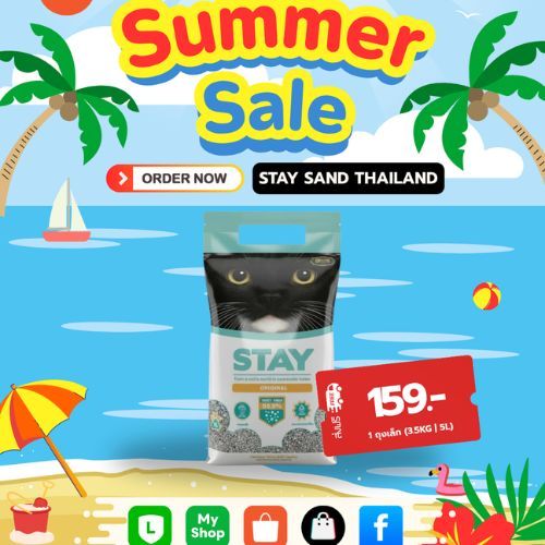 STAY ถุงเล็ก 5 L ทรายแมวออแกนิกซ์ ทรายจากภูเขาไฟ จับตัวเป็นก้อน ไร้ฝุ่น ดูดกลิ่นได้ดี