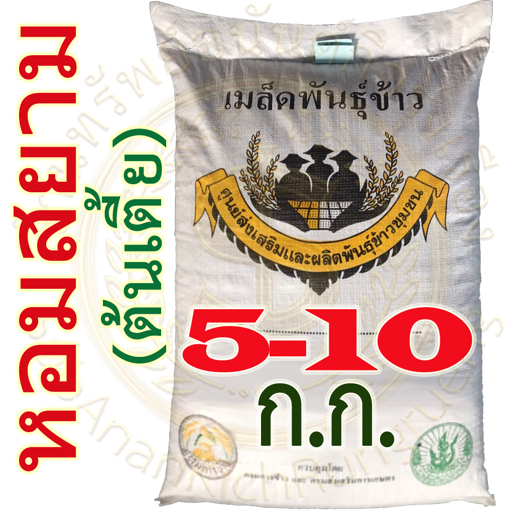เมล็ดพันธุ์ข้าว หอมสยาม (ต้นเตี้ย) บรรจุ 5-10 กิโลกรัม