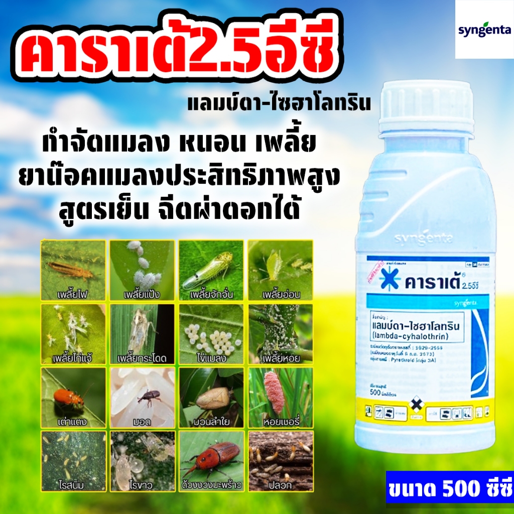 คาราเต้ ขนาด 500 ซีซี กำจัดแมลง หนอน เพลี้ย สารแลมป์ดา-ไซฮาโลทริน สูตรน็อคเย็น ฉีดผ่าดอกได้