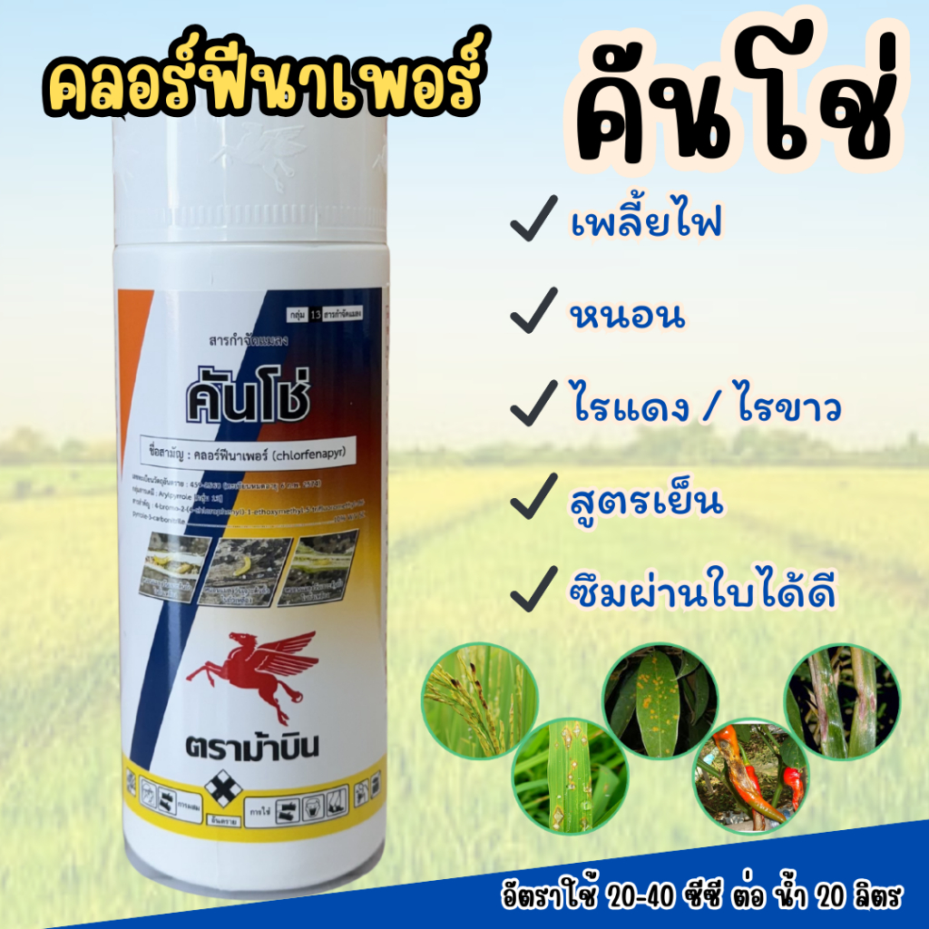 คลอร์ฟีนาเพอร์ 10% คันโช่ ตราม้าบิน ขนาด 1 ลิตร ป้องกันแมลง เพลี้ยไฟ หนอนกอหนอนม้วนใบ ไรขาว ไรแดง