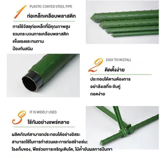 [ชุด 10 ชิ้น] ไม้ค้ำต้นไม้ยาว60 - 180ซม. เสาค้ำต้นไม้ทนทาน ไม่เป็นสนิม ทนทานเหล็ก เคลือบพลาสติก