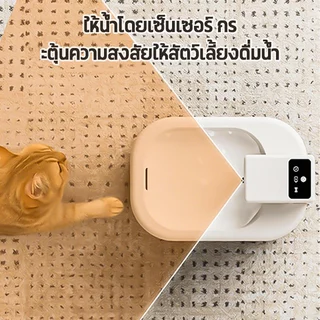 🐱เครื่องให้น้ำอัตโนมัติอัจฉริยะ สำหรับแมวและสุนัข ความจุ 2 ลิตร พร้อมระบบกรอง ใช้งานต่อเนื่องได้นาน ไม่ต้องเติมน้ำบ่อย