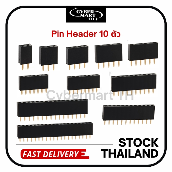 Pin Header 2.54mm Female (10 ตัว) (แบบแถวเดี่ยว 2–20 Pin) สำหรับงานอิเล็กทรอนิกส์ / DIY