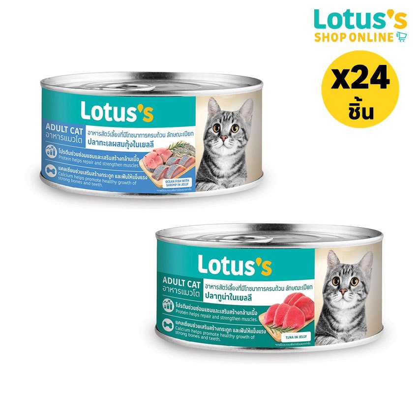 [ทั้งหมด 24 ชิ้น] โลตัส อาหารสำหรับแมวโต ชนิดเปียก ในเยลลี่ ขนาด 185 กรัม LOTUSS WET FOOD FOR ADULT CATS 185 G.
