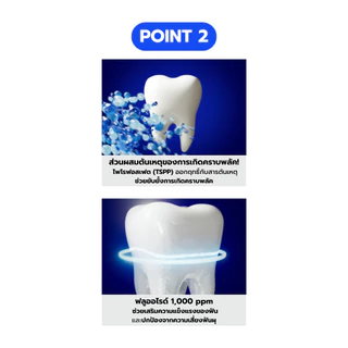 [Official] Median Tartar Toothpaste (GUM)