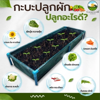 【COD】กระบะปลูกผัก พร้อมโครง PVC ขนาด 60x200x30cm กะบะเพาะปลูก​ ถุงปลูก​ต้นไม้ แปลงผัก กระบะปลูกผัก แปลงปลูกผัก