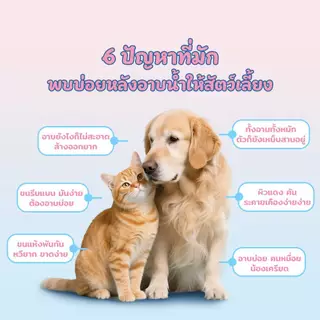 Pitpat(Petcho）2-IN-1 แชมพูสัตว์ลี้ยง Pet Shampoo แชมพูผสมครีมนวด ทำความสะอาดล้ำลึก บำรุงขนและผิวหนัง