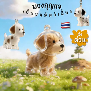 💥มีส่งด่วน💥(SN-22)พวงกุญแจที่ระลึกใส่ขนสัตว์เลี้ยง