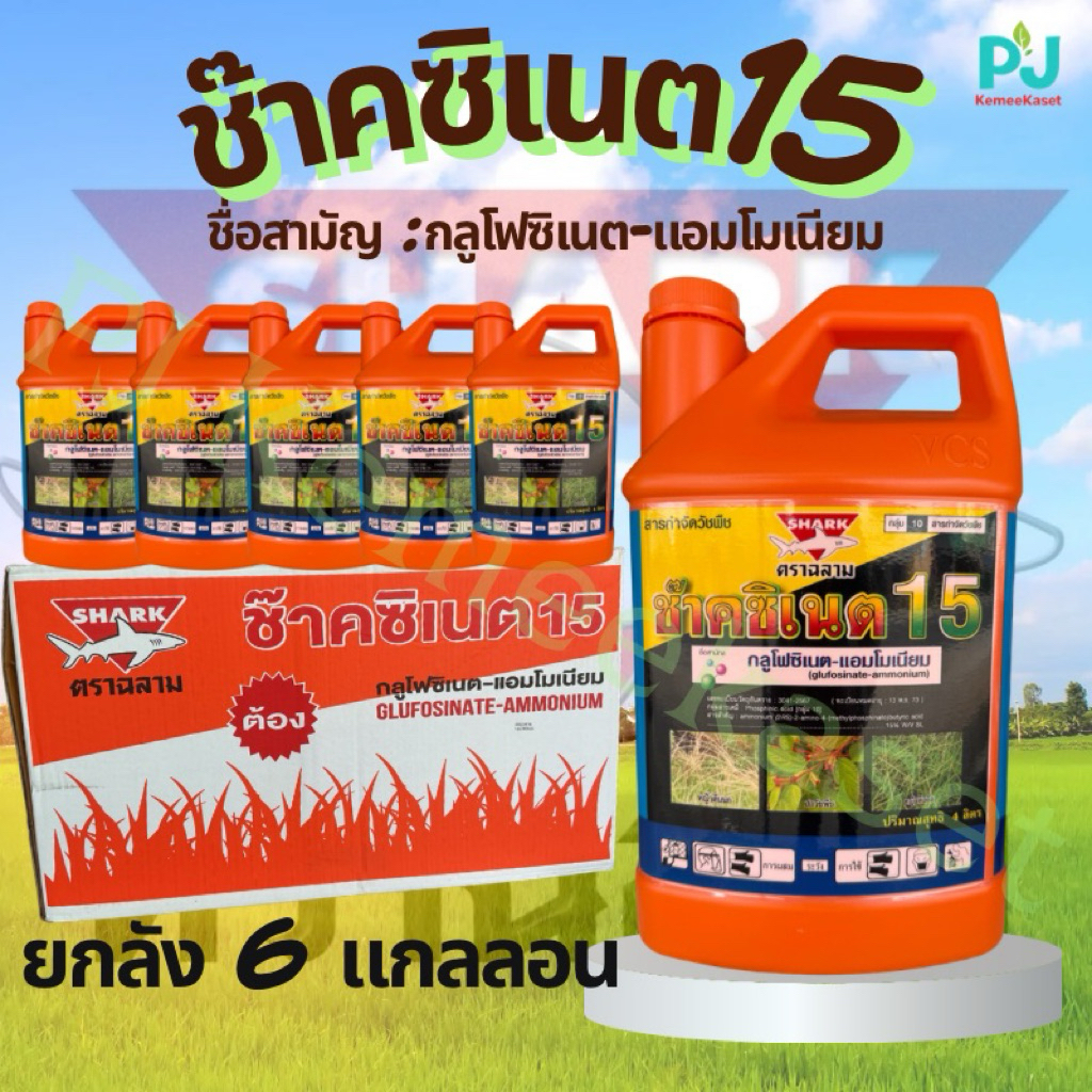 ช๊าคซิเนต 4 ลิตร((ยกลัง 6 แกลลอน)) #ยากำจัดหญ้า #กลูโฟซิเนต แอมโมเนียม น้ำสีฟ้าเกรดA
