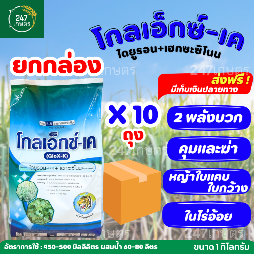 **ยกกล่อง10ถุง**โกลเอ็กซ์-เค 1 กก.(ไดยูรอน+เฮกซะซิโนน) เกล็ด หัวเสือลูกโลก คุม+ฆ่าหญ้าใบแคบใบกว้างในอ้อย
