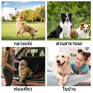 ถุงมือเช็ดสัตว์เลี้ยง กำจัดกลิ่นเหม็นทำความสะอาดลึก ไม่ระคายเคืองผิว ไม่ต้องล้างน้ำ ปราศจากแอลกอฮอล์ เลียปลอดภัย COD
