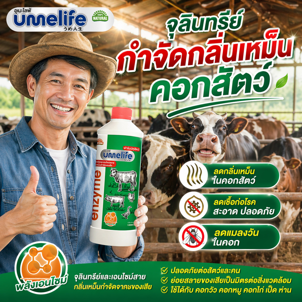 อูเมะไลฟ์ ปศุสัตว์ 1000cc จุลินทรีย์คอกสัตว์ น้ำยาดับกลิ่นเหม็นสัตว์ ลดแมลงวันในคอกสัตว์