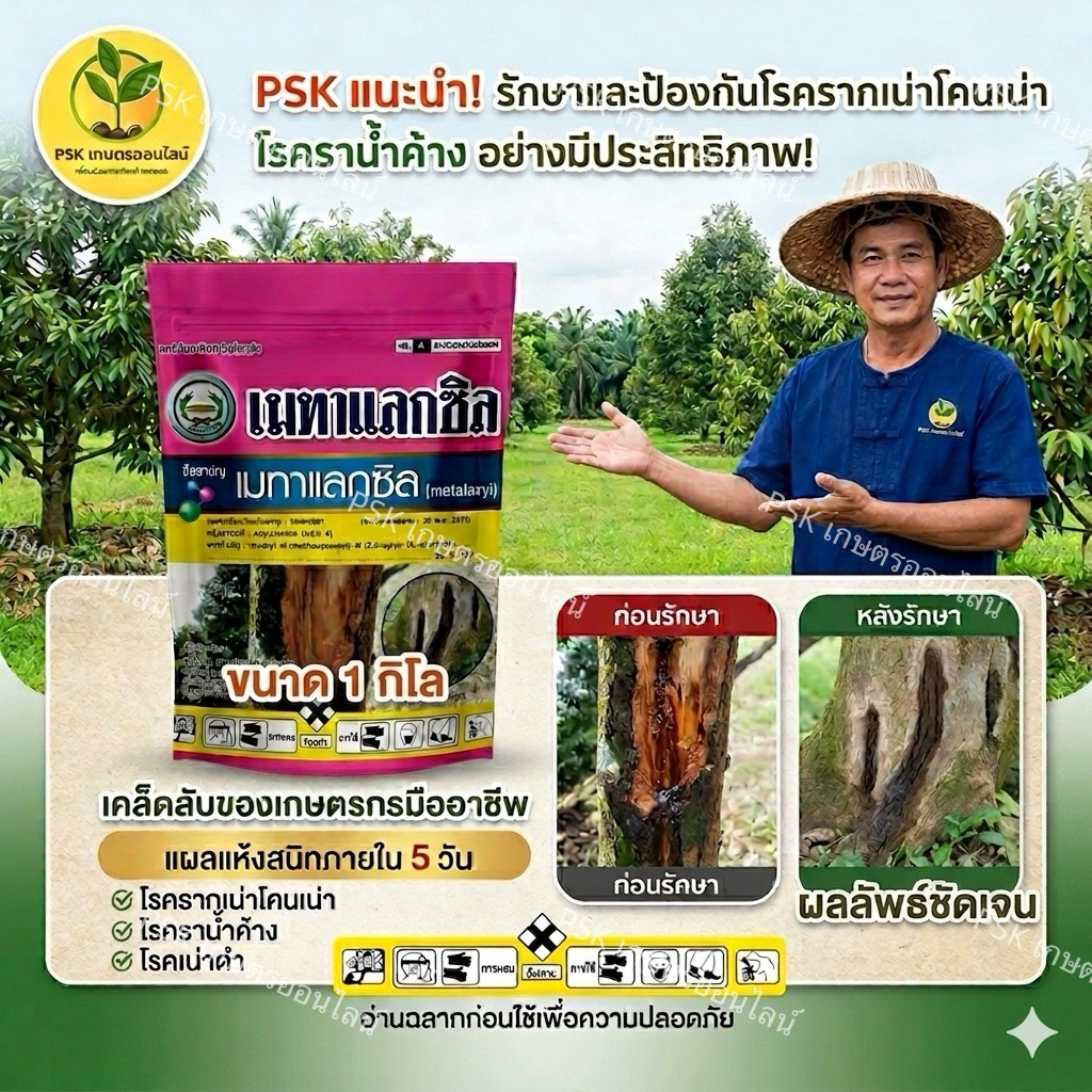 เมทาแลกซิล 25 WP (เนื้อชมพู)สารป้องกัน กำจัดเชื้อรา โรครากเน่าโคนเน่า โรคพืชจากทางดิน ตราหวีทอง 1 กิโลกรัม