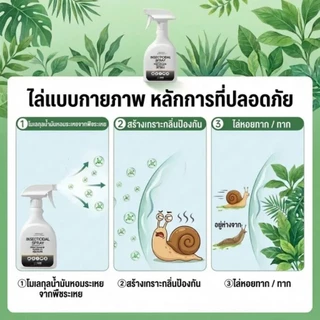 🐌จัดส่งไว🐌ยาฆ่าหอยทาก หอยทาก สารกําจัดหอยทาก ฉีดครั้งเดียว ป้องกันยาวนาน ยาฆ่าแมลงสาบ ไล่ยุง