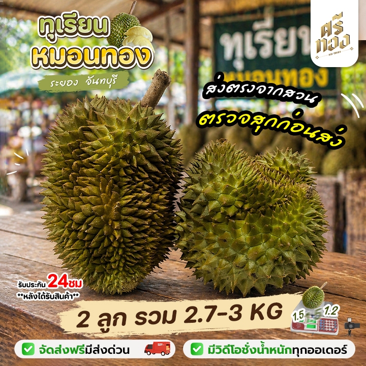📌 ส่งฟรี-ส่งด่วน📌ทุเรียนหมอนทอง จันทบุรี 2.7-3kg (2ลูก) คัดแก่ เนื้อแน่น พร้อมวิดีโอชั่งน้ำหนักจริงทุกลูก! ศรีทอง