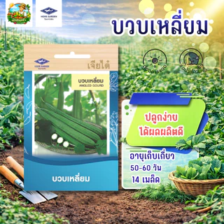 รวมผักเจียไต๋ (ชุดที่2)ผักซองเจียไต๋ มีให้เลือกมากว่า 45 ชนิด เมล็ดพันธุ์