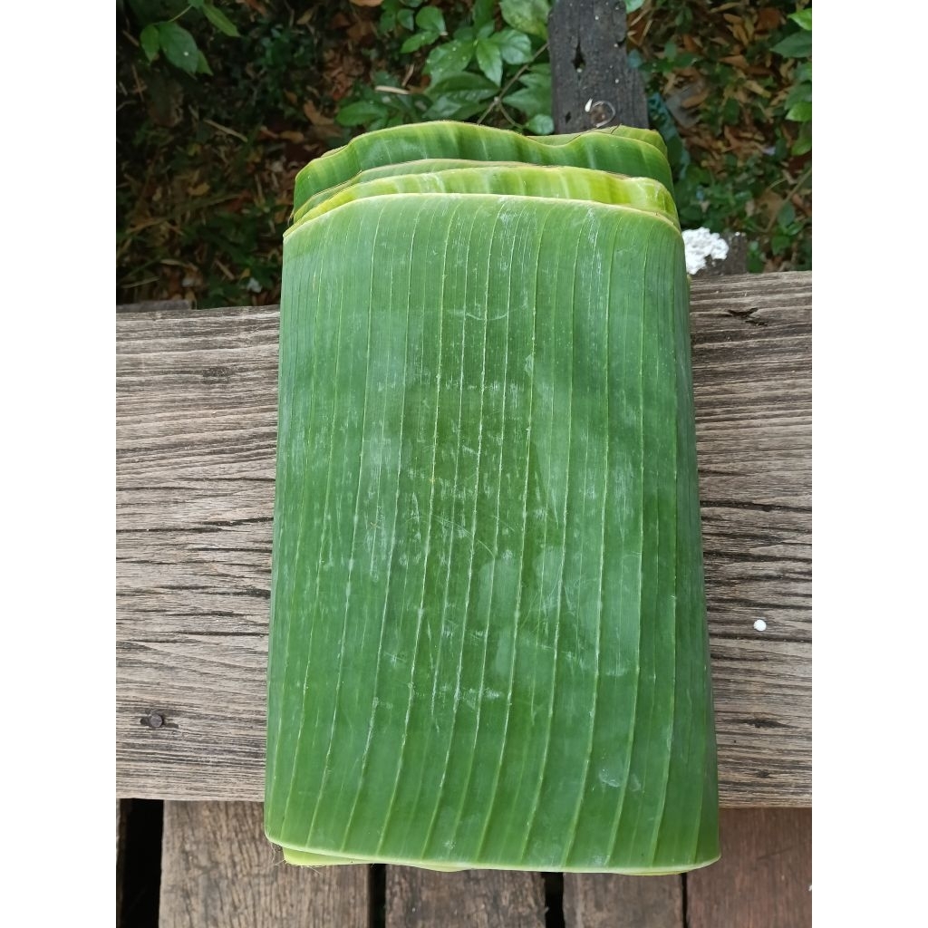ใบตองสดจากกล้วยน้ำว้า สะอาด นิ่ม ปลูกในสวน Organic
