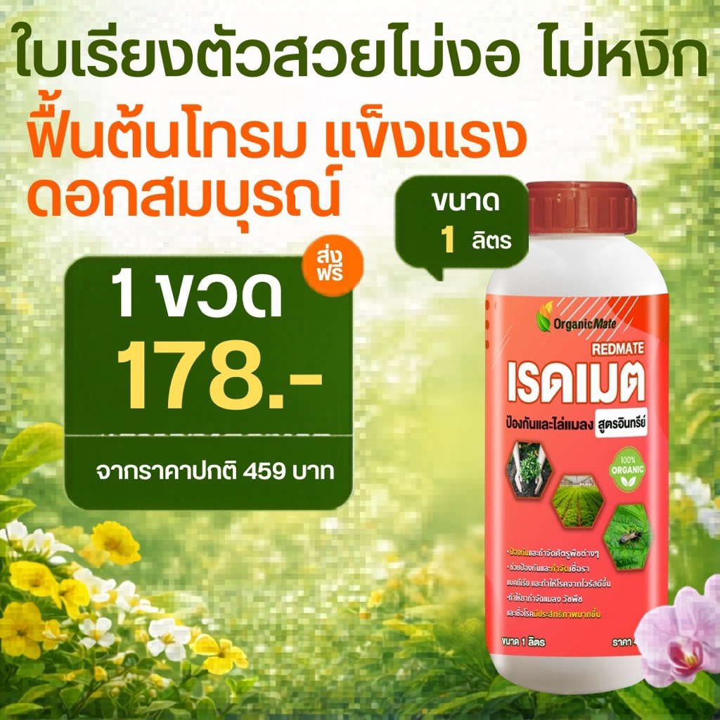 น้ำส้มควันไม้ สูตรพรีเมียม เข้มข้น ไล่แมลงแบบอินทรีย์ กำจัดกลิ่นฉี่ หมา แมว สัตว์เลี้ยง 1ลิตร
