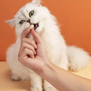 🐱อาหารแมว อกไก่เต๋า ขนมฟรีซดราย อกไก่ฟรีซดราย ขนมแมว ฟรีซดรายแมว ไก่ฟรีซดราย ขนมฟรีซดรายแมว ไก่ฟรีซดรายแมว 100%ฟู้ดเกรด