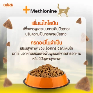 (1 แถม 1) Ostech ออสเทค พรีเมี่ยม อาหารเม็ดแมวโตออสเทค พรีเมี่ยม 900 g