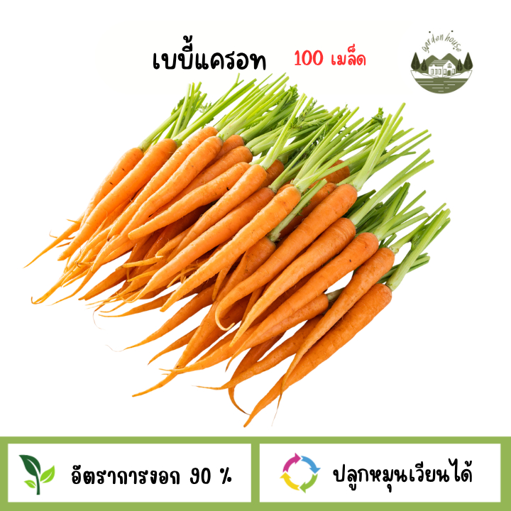 เบบี้แครอท 100 เมล็ด