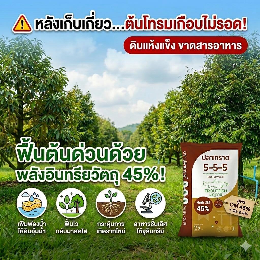 ปุ๋ยปลาเทราต์ สูตร 5-5-5 +2.5Ca + 45 OM ขยายขนาดใบ ช่วยให้ใบหนา เขียวเข้ม