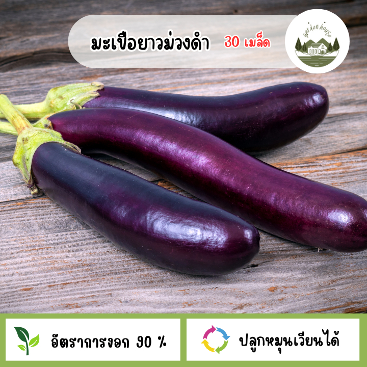 มะเขือม่วงดำ 30 เมล็ด