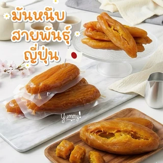 มันหนึบ 250g 500g 1000g 100% หนีบญี่ปุ่น หัวใหญ่ ไม่ผสมแป้งและน้ำตาล อร่อย รีวิวแน่น ไม่ใส่น้ำตาล