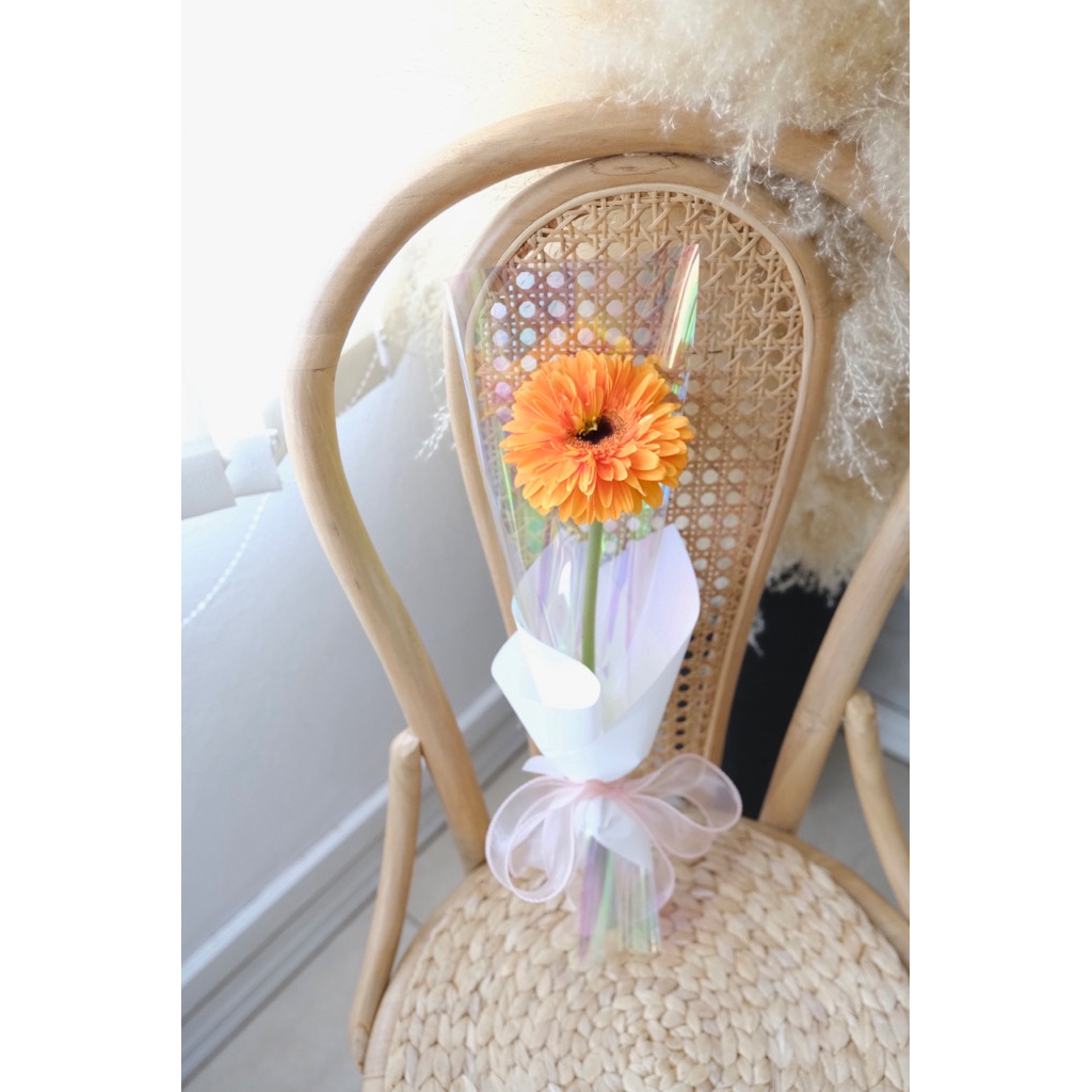 ส่งด่วน ช่อดอกไม้สด Gerbera Flower ช่อดอกเยอบีร่า ดอกไม้แสดงความยินดี มอบให้แฟน ของขวัญวันเกิด