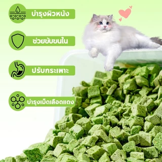 พร้อมส่ง! ขนมแมวฟรีซดราย หญ้าแมว อกไก่ผสมต้นอ่อนข้าวสาลี 50g โปรตีนสูง ช่วยสำรอกก้อนขน บำรุงขน หอม