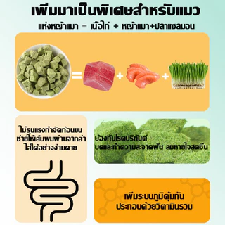 พร้อมส่ง! ขนมแมวฟรีซดราย หญ้าแมว อกไก่ผสมต้นอ่อนข้าวสาลี 50g โปรตีนสูง ช่วยสำรอกก้อนขน บำรุงขน หอม