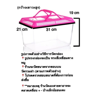 กล่องพลาสติกใสใส่สัตว์เลี้ยง 💚 เคลื่อนย้าย/พกพาขนาดเล็ก/กล่องพร้อมฝา