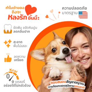 🇺🇸Made in USA🇺🇸 Nylabone Puppy Chew Teething Bone ของเล่นกระดูกแทะขัดฟันลูกสุนัข ลดอาการคันเหงือก รสไก่