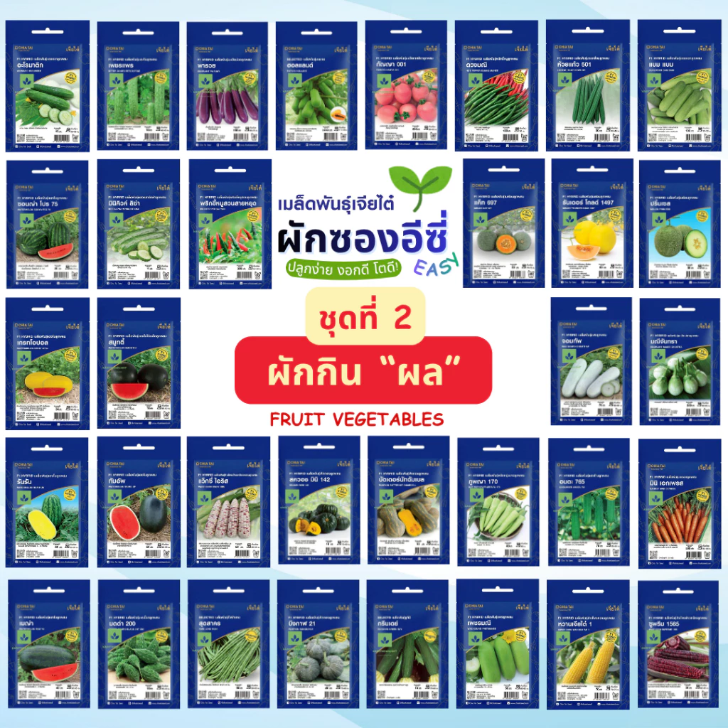 Easy เมล็ดพันธุ์ ผักกินผล ปลูกง่าย งอกดี โตไว เจียไต๋ แตงกวา ถั่วฝักยาว แตงโม เมล่อน ฟักทอง มะเขือ ผักซอง Seed ชุด2