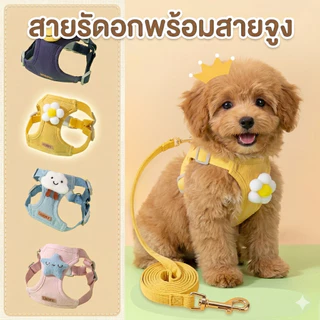 สายจูงหมา-แมว สายรัดอกแมว สามารถปรับระดับได้