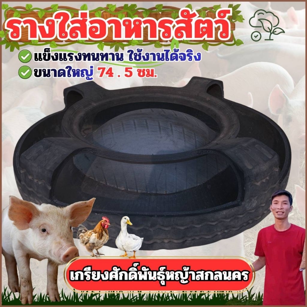 ถาดหลุมให้อาหารสัตว์ ถาดหลุมให้อาหารไก่ ถาดหลุมให้อาหารหมู ถาดหลุมยางรถยนต์ (ขนาดใหญ่74.5 ซม.) #เกรียงศักดิ์พันธุ์หญ้า